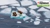 Melting of Arctic sea ice has slowed down. This is not ‘good news’